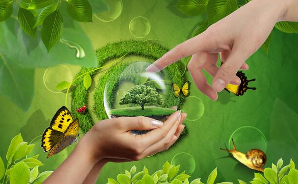 k11防水涂料怎么樣,好用嗎？